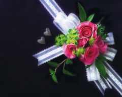 Tapeta Nature Flowers 532.jpg